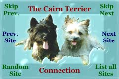 Cairn terrier Connection Webring
